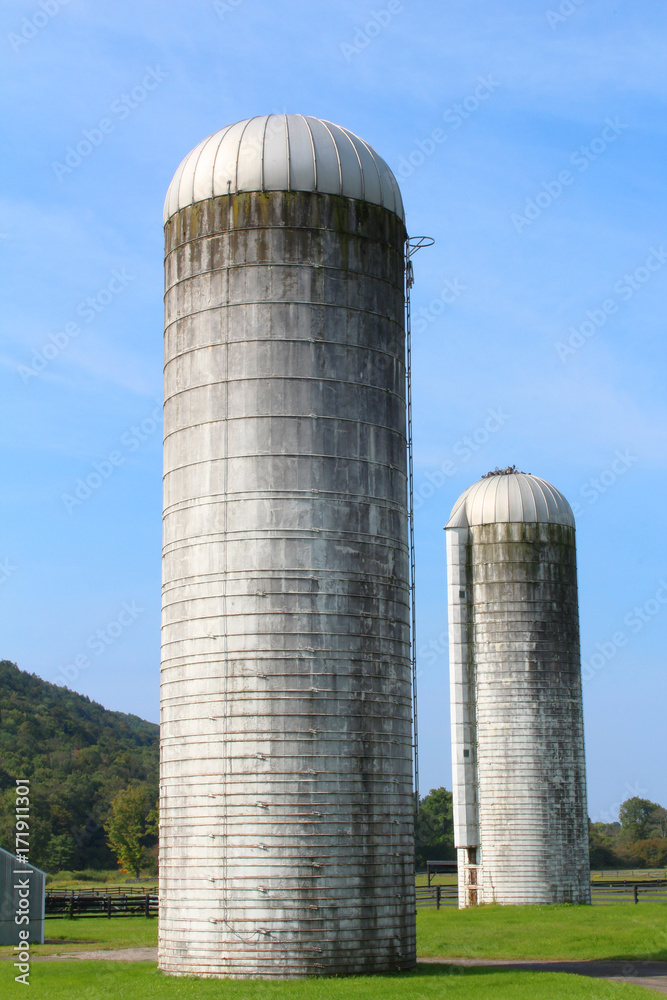 Two large grey and white silos against a blue sky and green grass
