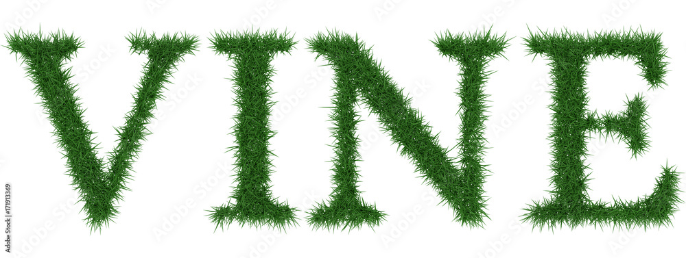 Vine - 3D rendering fresh Grass letters isolated on whhite background. Vine - 3D rendering fresh Grass letters isolated on whhite background.