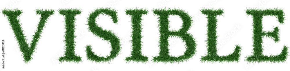 Visible - 3D rendering fresh Grass letters isolated on whhite background. Visible - 3D rendering fresh Grass letters isolated on whhite background.