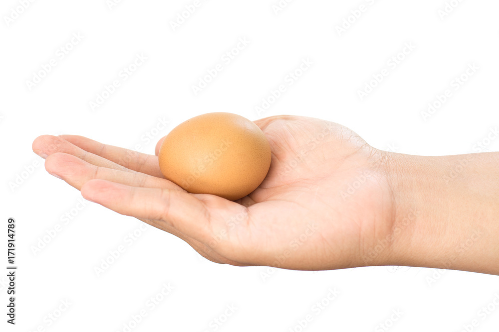 Holding a fresh egg in hand isolate with white background. Holding a fresh egg in hand isolate with white background.