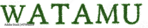 Watamu - 3D rendering fresh Grass letters isolated on whhite background.