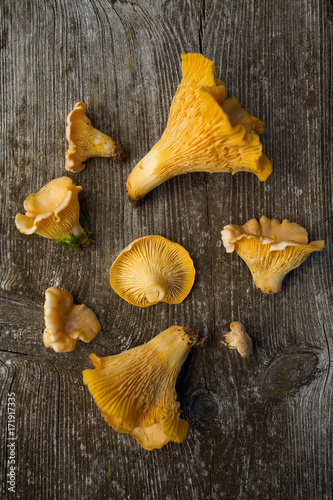 chanterelle mushrooms on wooden surface