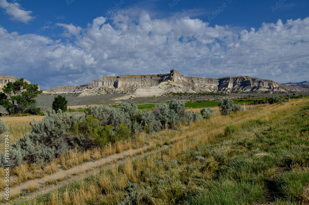 dirt road in the green valley with white mesa cliffs on the background
Henrieville, Garfield county, Utah, USA