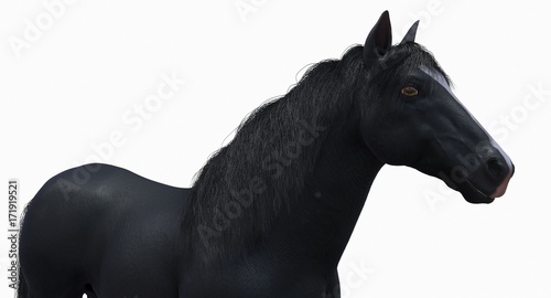 Black Horse (3D)