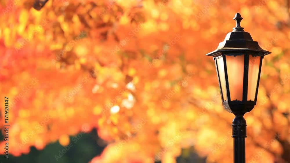 Lantern in autumn park with a wind-blown foliage in the background.
Lantern in autumn park with a wind-blown foliage in the background.