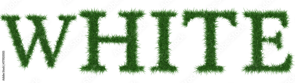 White - 3D rendering fresh Grass letters isolated on whhite background.