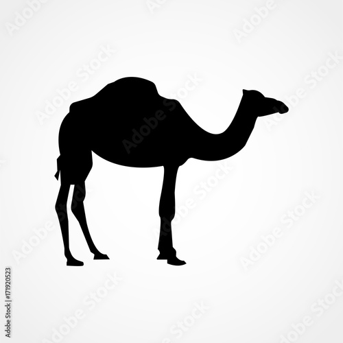 camel icon isolated on background. Modern flat pictogram, business, marketing, internet concept. Trendy Simple vector symbol for web site design or button to mobile app. Logo illustration