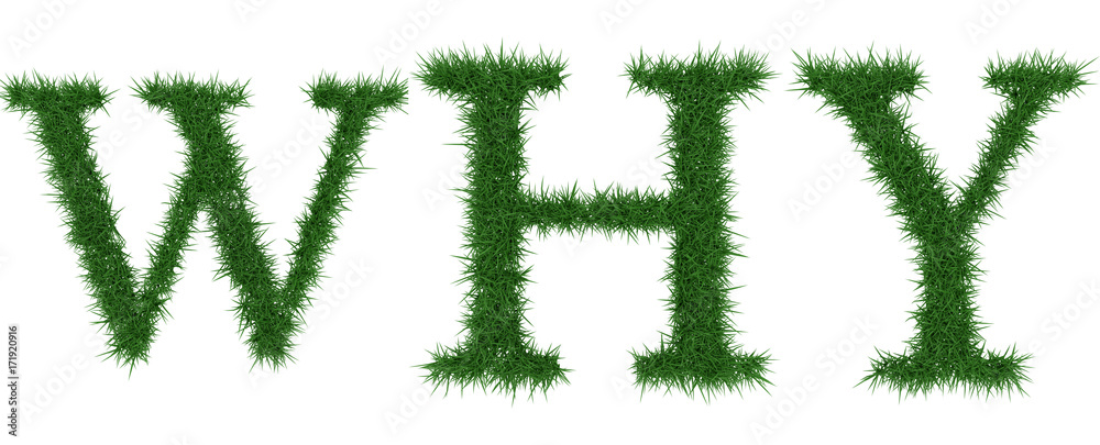 Why - 3D rendering fresh Grass letters isolated on whhite background. Why - 3D rendering fresh Grass letters isolated on whhite background.