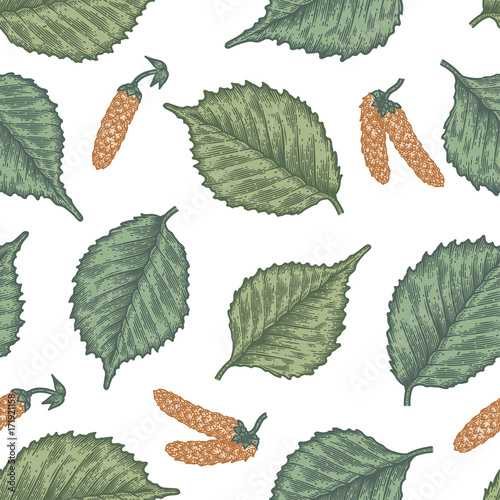 Engraving seamless pattern of birch leaves and seeds.
