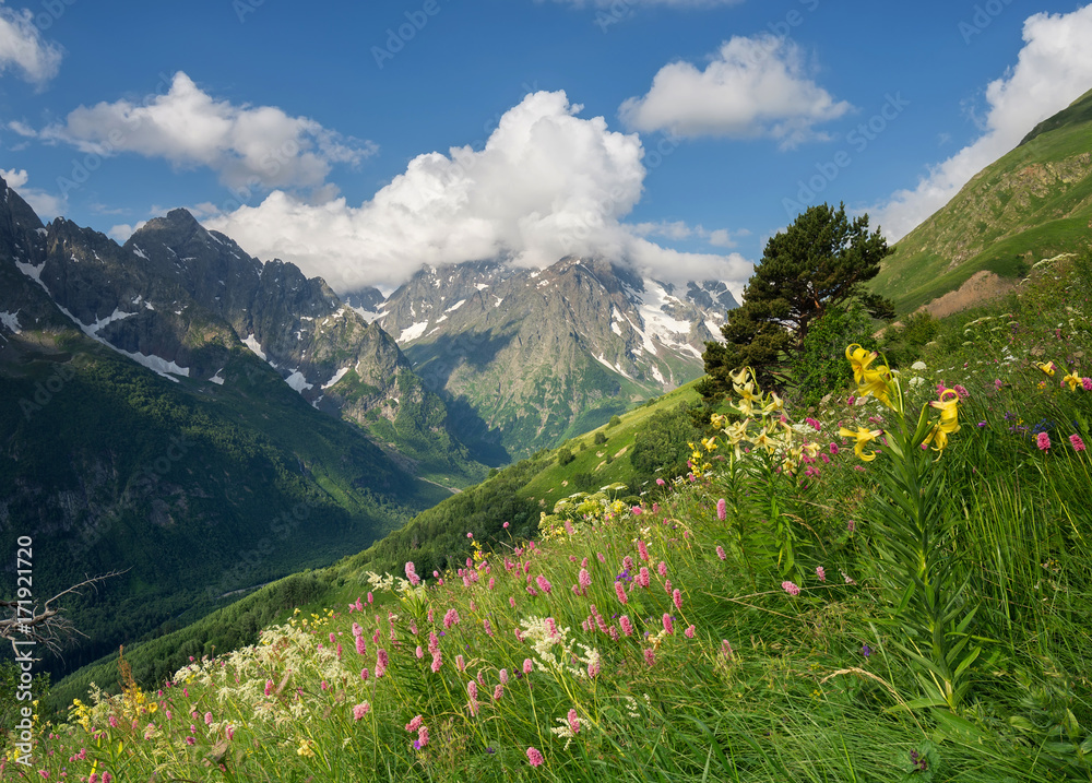 Sunset in the mountain valley. Beautiful natural landscape in the summer time