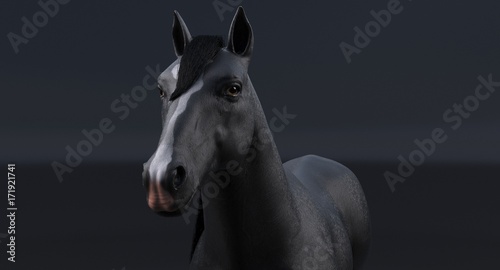 Black Horse  3D 