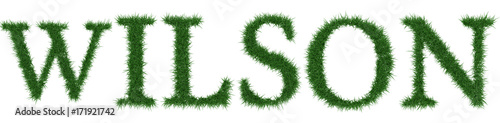 Wilson - 3D rendering fresh Grass letters isolated on whhite background.