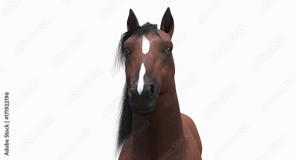 Fototapeta premium Brown Horse (3D)