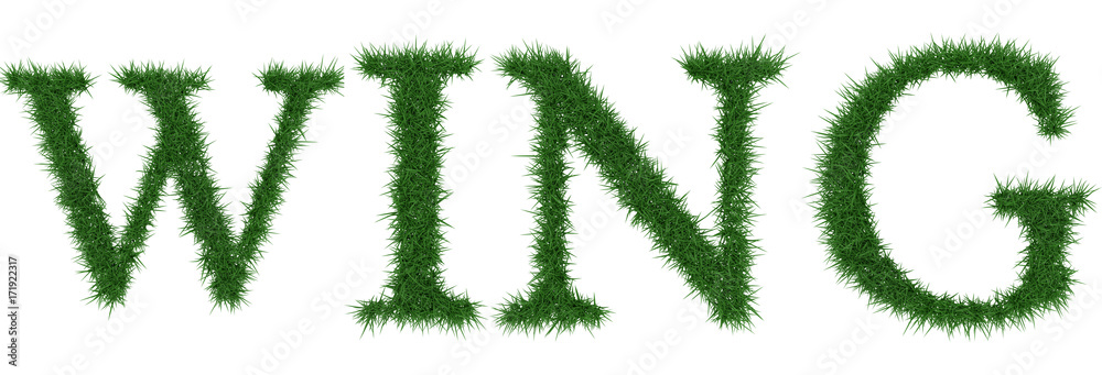 Wing - 3D rendering fresh Grass letters isolated on whhite background. Wing - 3D rendering fresh Grass letters isolated on whhite background.