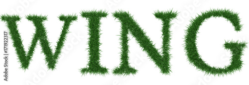 Wing - 3D rendering fresh Grass letters isolated on whhite background.