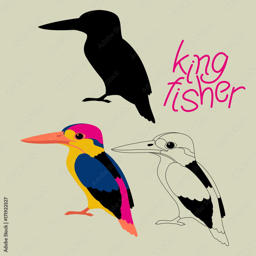 Fototapeta premium kingfisher bird vector illustration black silhouette line drawing