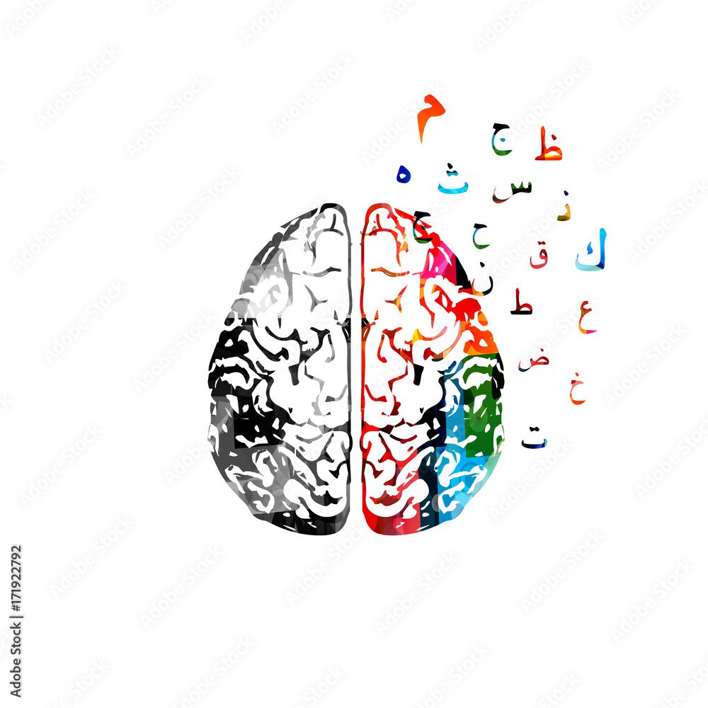 Colorful Human Brain With Arabic Islamic Calligraphy Symbols Isolated 