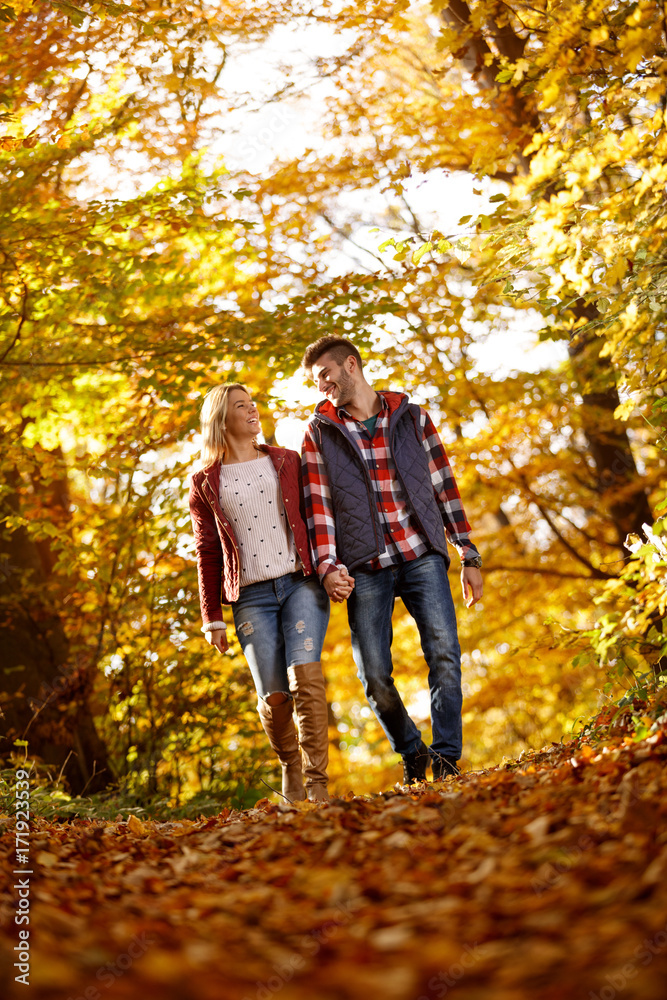 couple in love holding hands and walking through a park on a sunny autumn day. couple in love holding hands and walking through a park on a sunny autumn day.