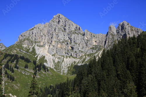 Blick auf die Baumgrenze in den Tannheimer Alpen