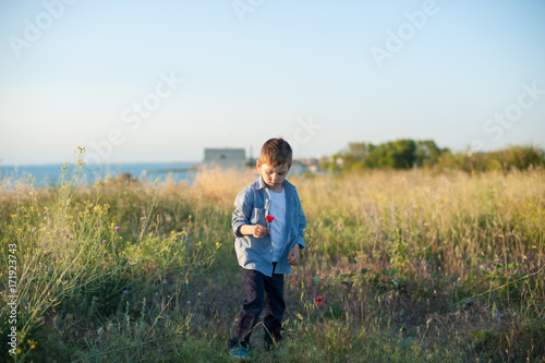 Beautiful little boy holding a flower stands in a field
