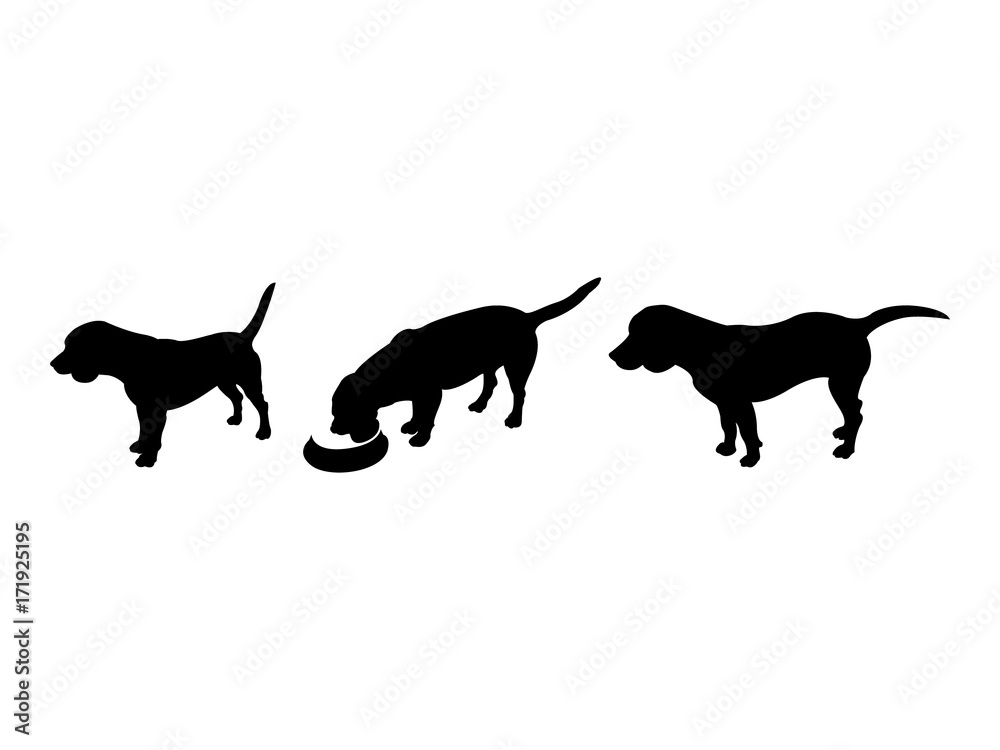 Simple black beagle dog silhouettes