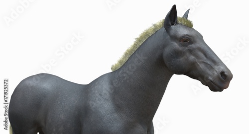 Gray Horse (3D)