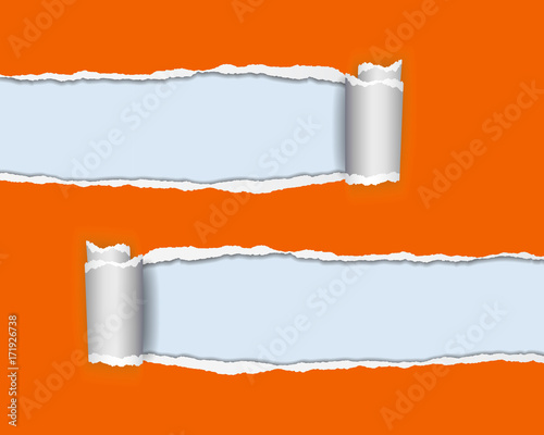 vector realistic illustration of orange torn paper with rolled edge on blue background