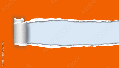vector realistic illustration of orange torn paper with rolled edge on blue background