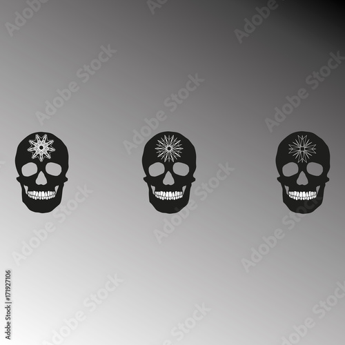 human remains of the skull bones