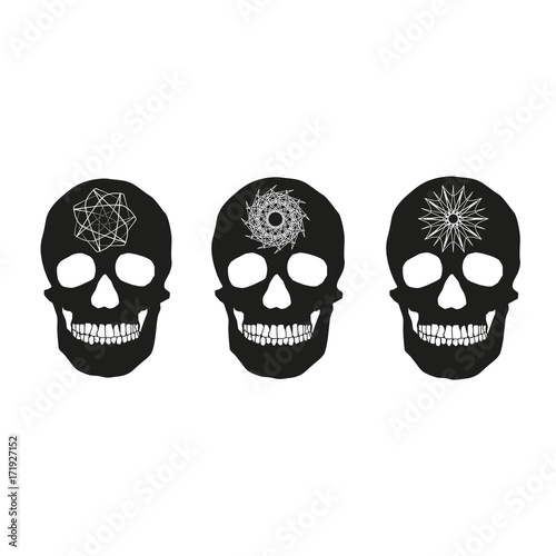 human remains of the skull bones