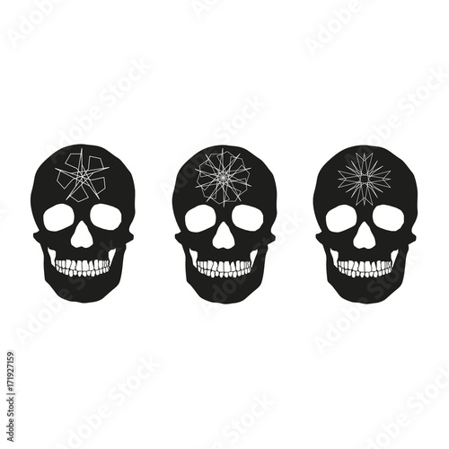 human remains of the skull bones
