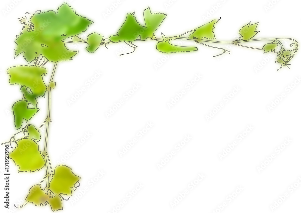 contour cadre de vigne, fond blanc Stock Illustration | Adobe Stock