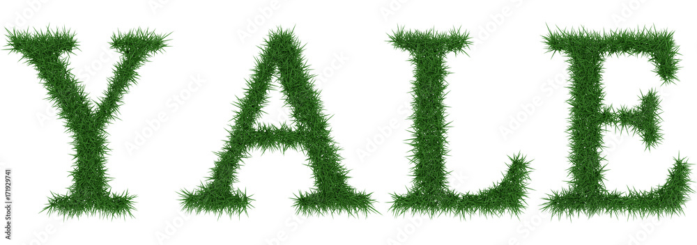Yale - 3D rendering fresh Grass letters isolated on whhite background. Yale - 3D rendering fresh Grass letters isolated on whhite background.