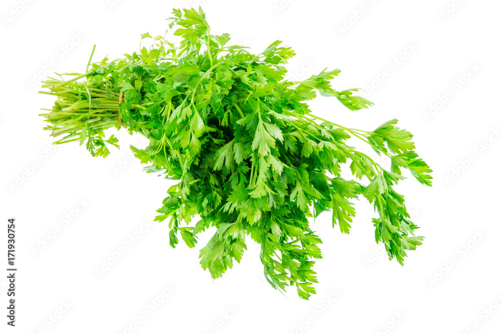 Obraz premium Isolated bunch of fresh garden parsley