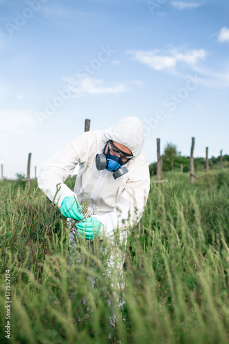Weed control. Industrial agriculture researching. Man in protective suite and mask taking weed samples in the field. Natural hard light on sunny day. Blue sky with clouds in background.