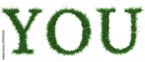 You - 3D rendering fresh Grass letters isolated on whhite background.