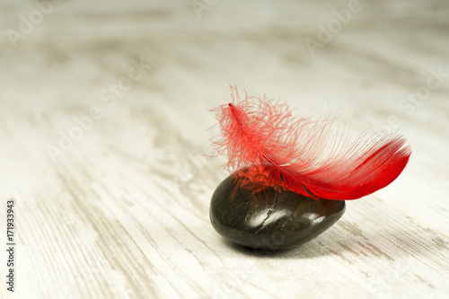 Red feather on black stones