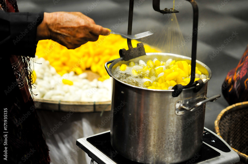 The Complex Thai Silk Making Process The silkworms, This process is