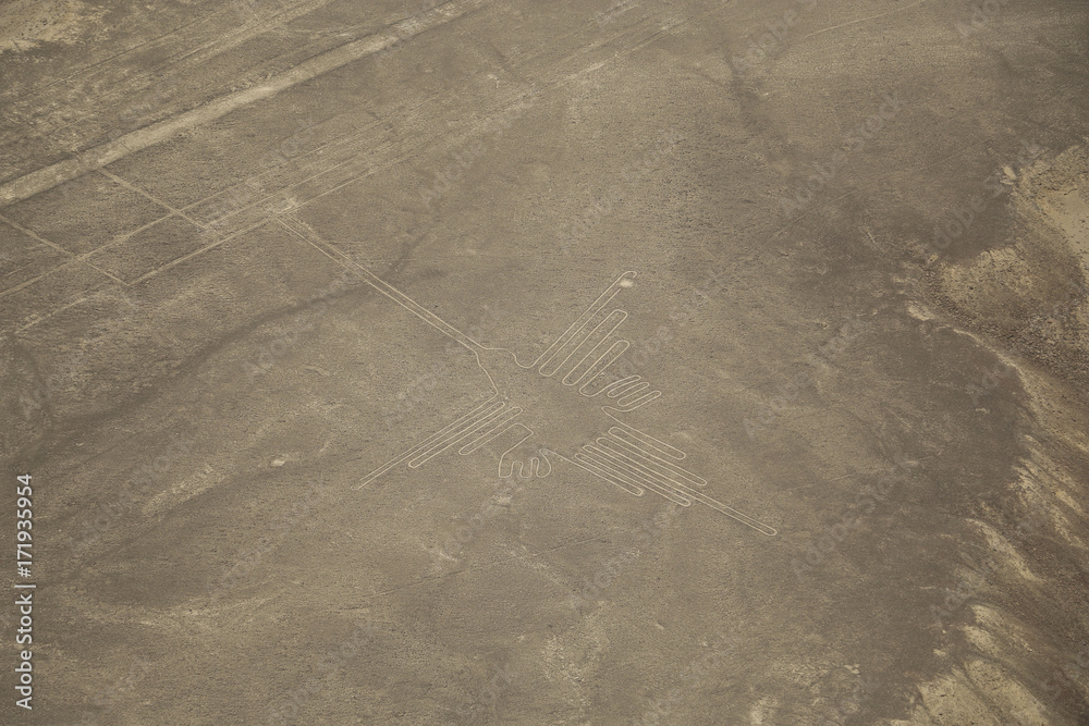 Nazca desert, Peru, hieroglyph hummingbird Nazca desert, Peru, hieroglyph hummingbird