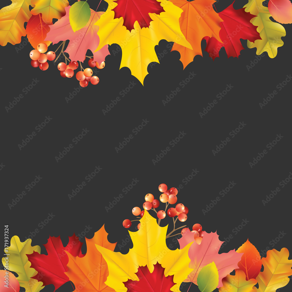 Fototapeta Colorful Card or Banner with Autumn Leaves in Vector with place for Text