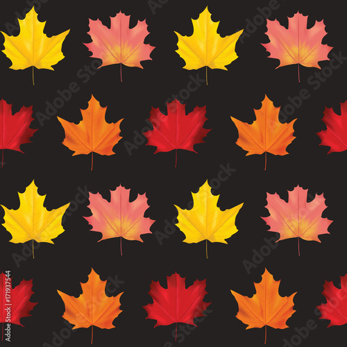 Seamless Colorful Autumn Leaves Background Pattern in Vector