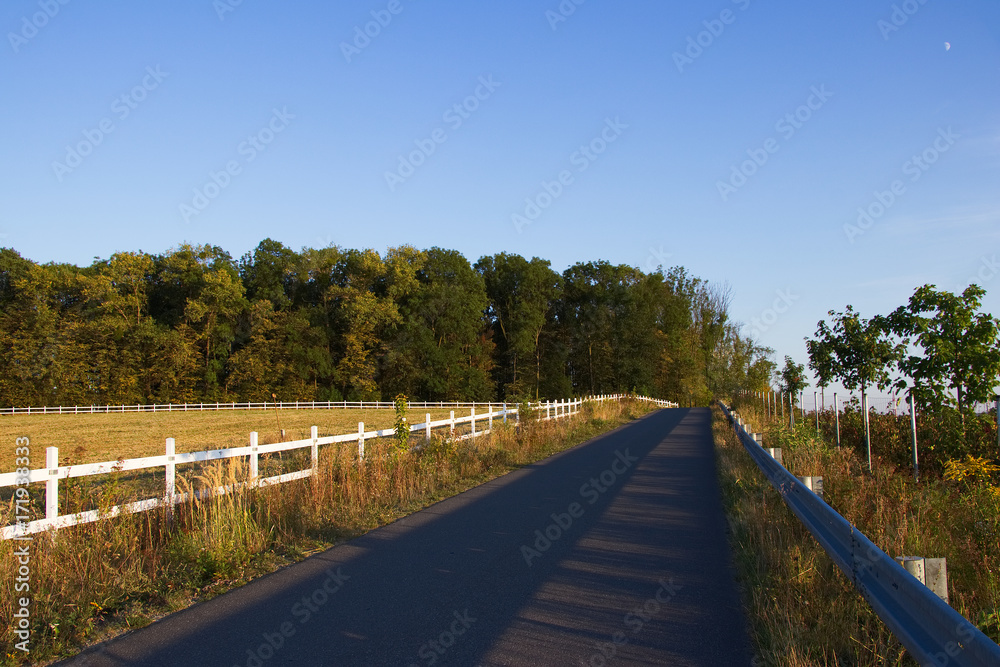 Asphalt road along pasture with white fence in the countryside. Typical rural farmland in Eastern Europe. 