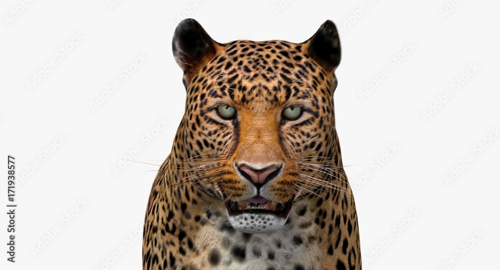 Obraz premium Leopard (3d)