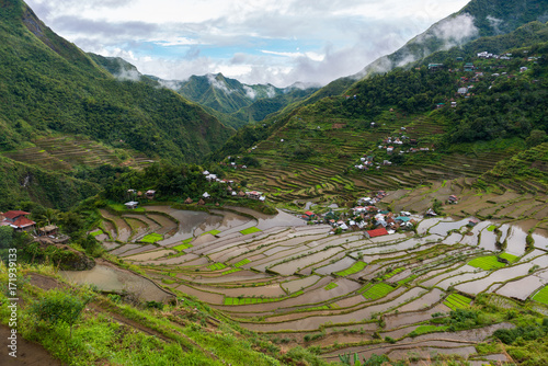 Reis Terassen Felder, Dorf Batad, Philippinen photo