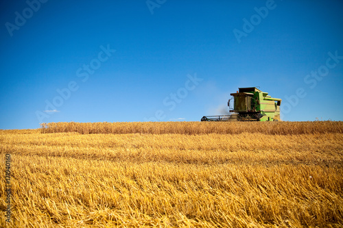 Moisson du blé en été © Thierry RYO