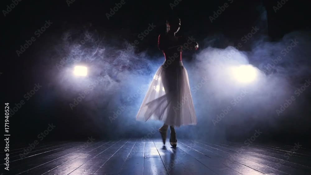 A female dancer shows off her ballet skills. A female dancer shows off her ballet skills.