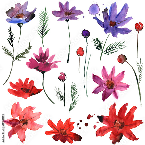 Wallpaper Mural Watercolor hand painted abstract flower elements for invitation, wedding card, birthday card Torontodigital.ca