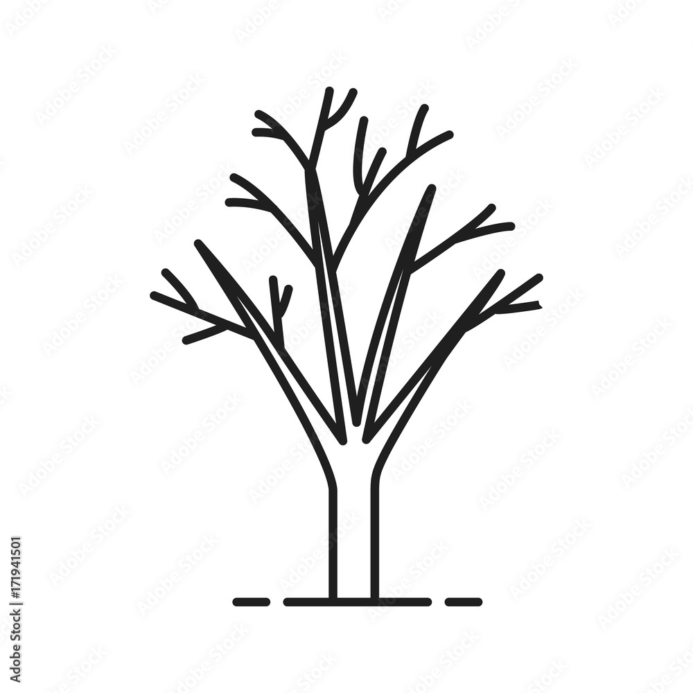 Fototapeta premium Tree without leaves linear icon