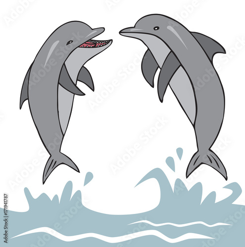 dolphins jumped out of water