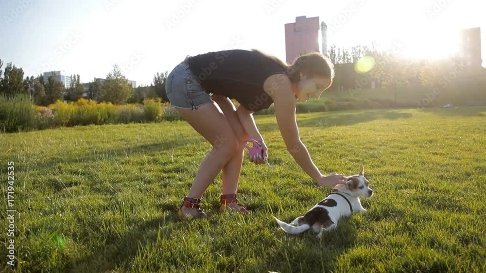 Cute girl is playing with her dog on the lawn in the park Stock Video ...